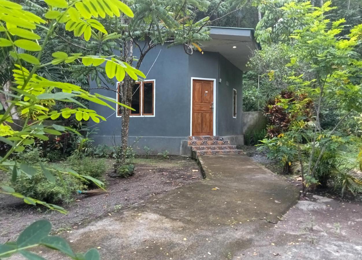 Tangkoko Ranger Homestay بيتونغْ المظهر الخارجي الصورة