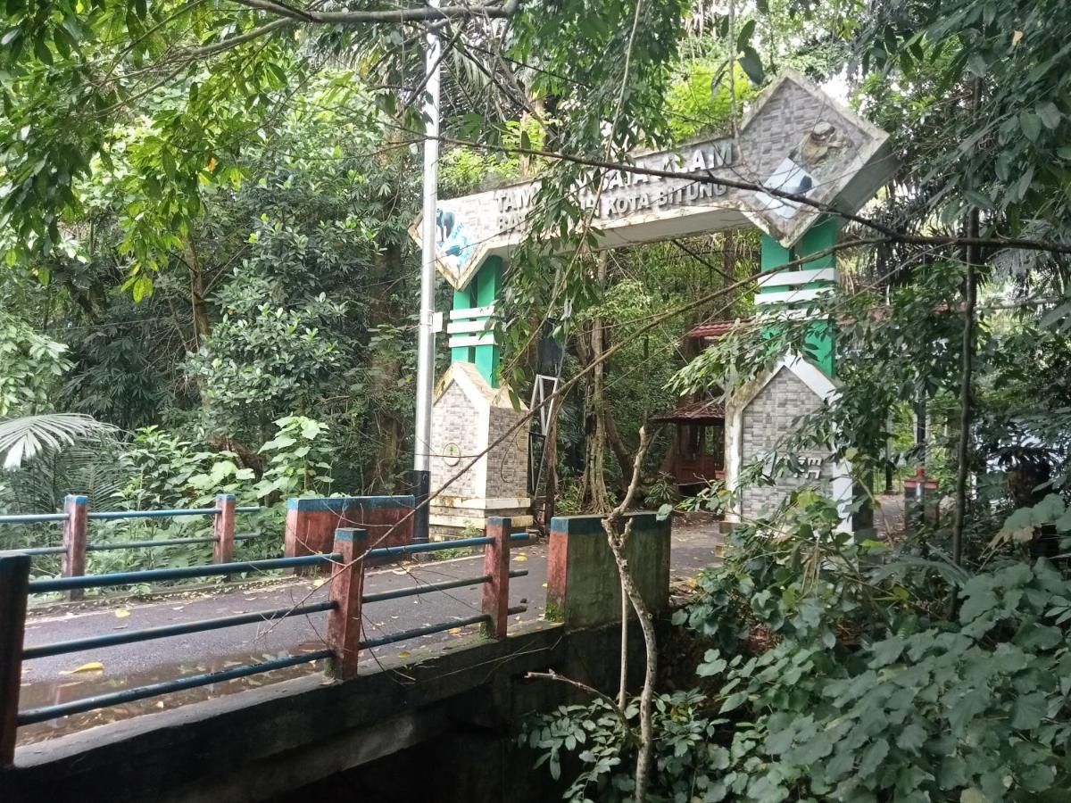 Tangkoko Ranger Homestay بيتونغْ المظهر الخارجي الصورة