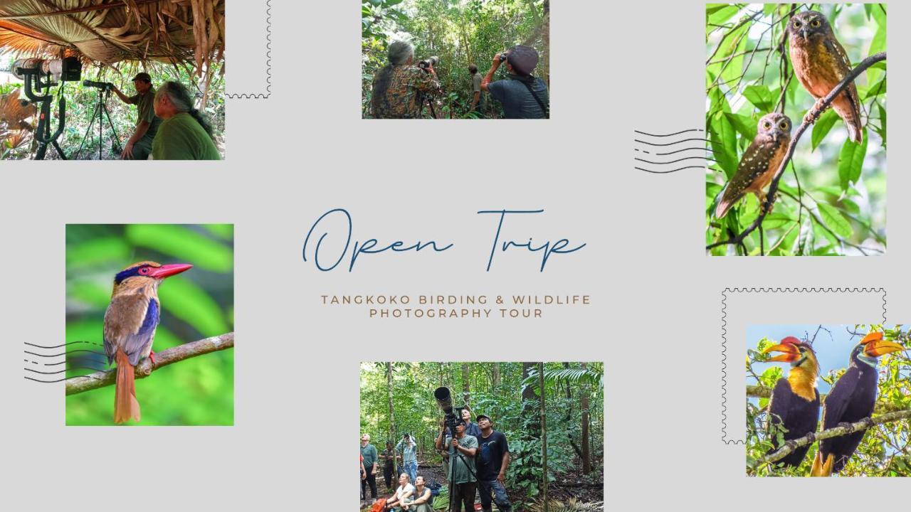 Tangkoko Ranger Homestay بيتونغْ المظهر الخارجي الصورة
